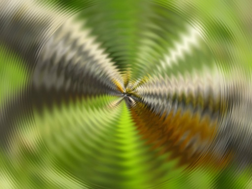 Zoom
